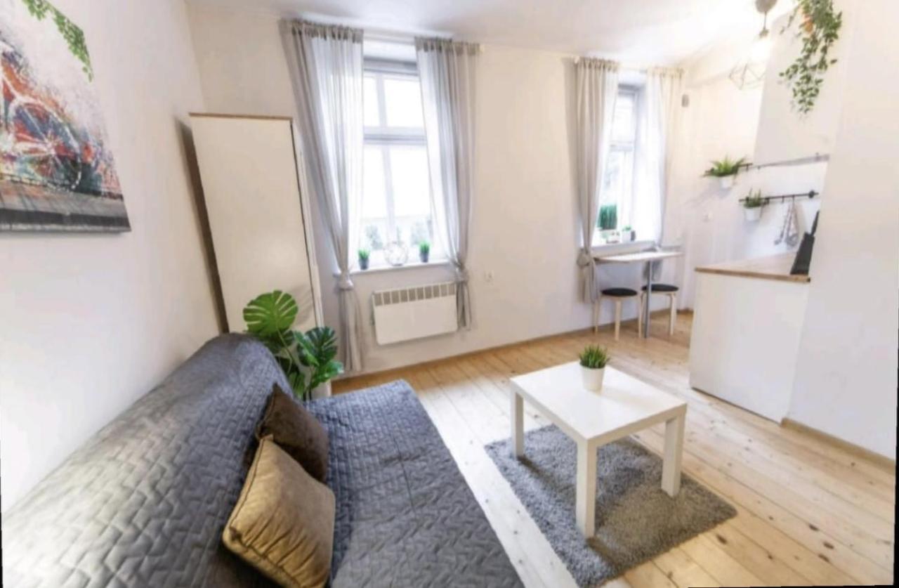 Vip Apartment Krasków Εξωτερικό φωτογραφία